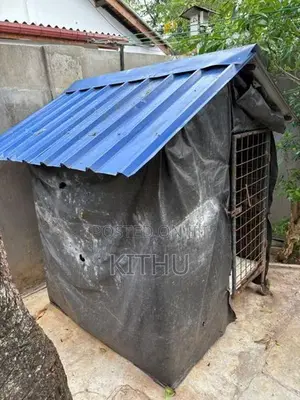 Dog Cage
