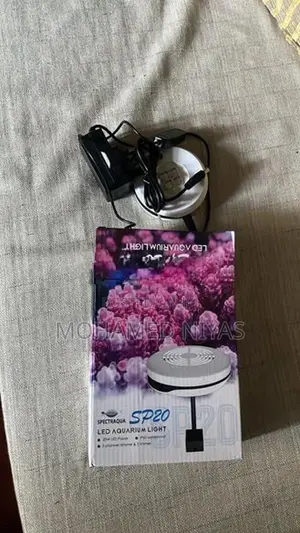 Led Light