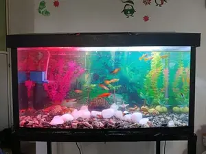 Fish Tank 2 Feet