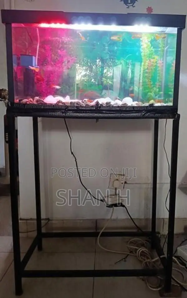 Fish Tank 2 Feet