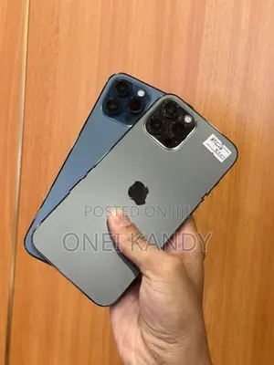 Apple iPhone 12 Pro Max 256GB (Used)
