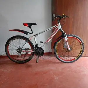 DSI Bicycle