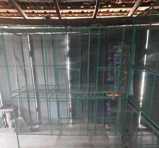 Aquarium Fish Tanks with Stand