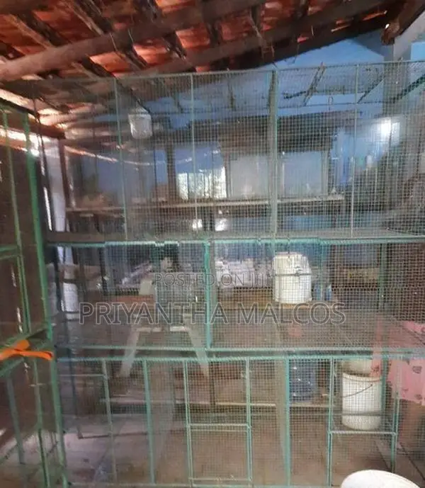 Aquarium Fish Tanks with Stand