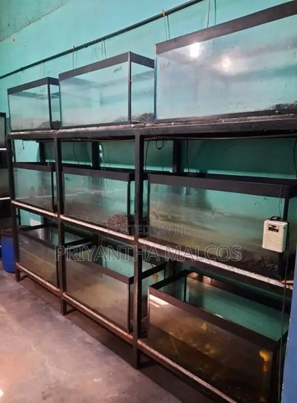 Aquarium Fish Tanks with Stand