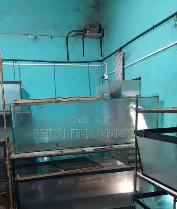 Aquarium Fish Tanks with Stand