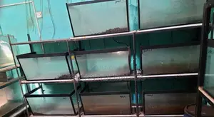 Aquarium Fish Tanks with Stand