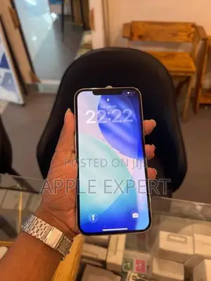 Apple iPhone 12 Pro Max 256GB (Used)