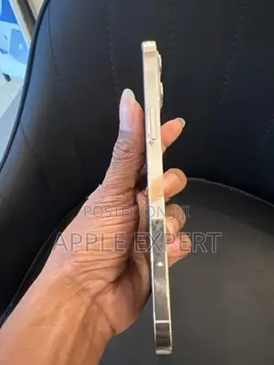 Apple iPhone 12 Pro Max 256GB (Used)