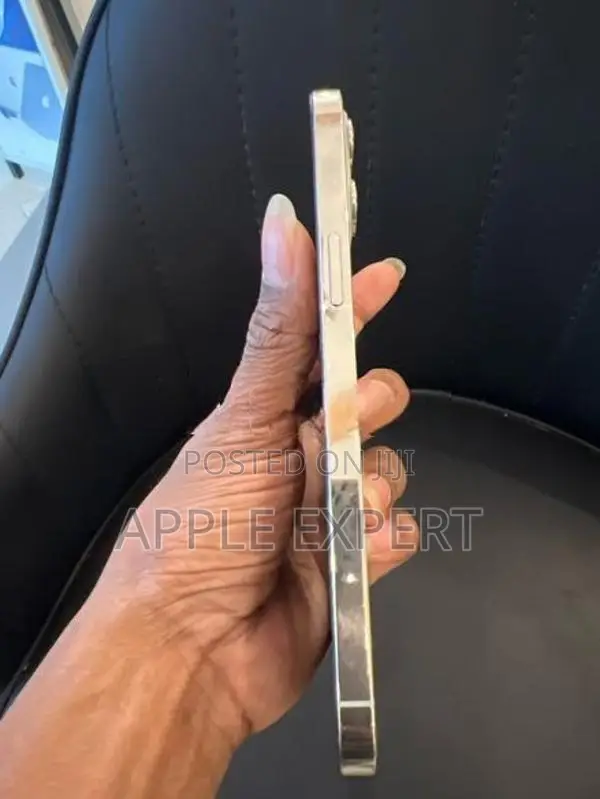 Apple iPhone 12 Pro Max 256GB (Used)