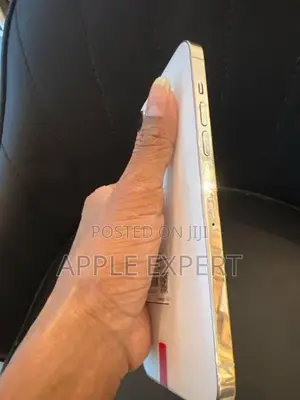 Apple iPhone 12 Pro Max 256GB (Used)