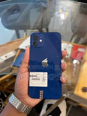 Apple iPhone 12 (Used)