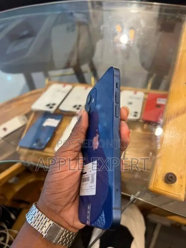 Apple iPhone 12 (Used)
