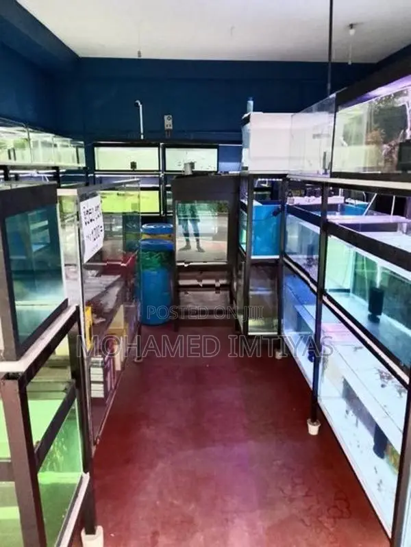 Fish Tanks