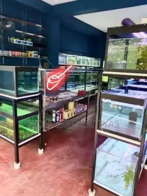 Fish Tanks