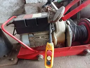 500 kg Italy type hoist for sale