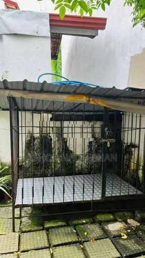 Dog house