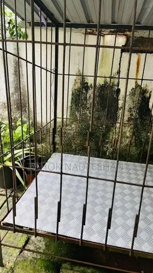 Dog house