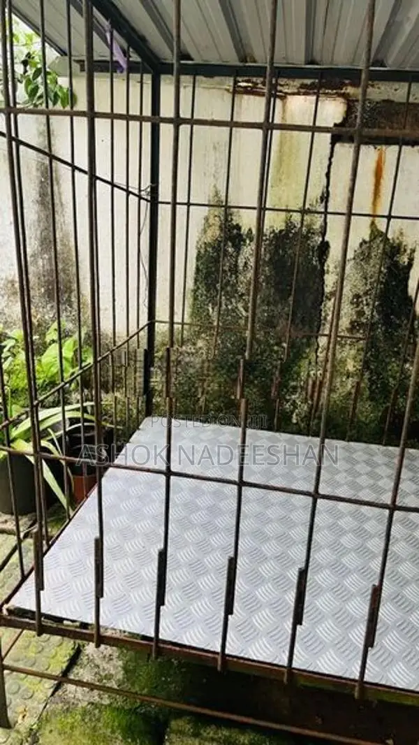 Dog house
