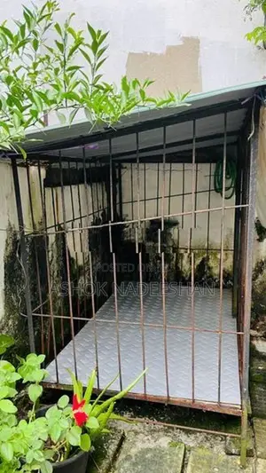 Dog house
