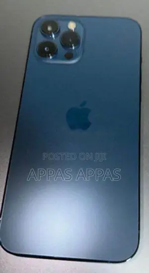 Apple iPhone 12 Pro 256GB (Used)
