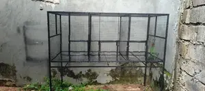 Birds Cage