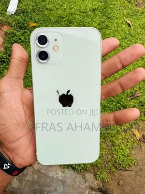 Apple iPhone 12 (Used)