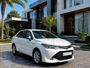 Toyota Axio G Grade 2017
