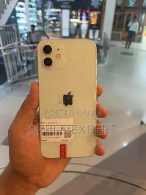 Apple iPhone 12 (Used)