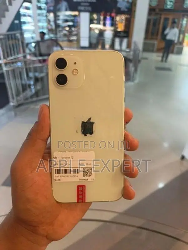 Apple iPhone 12 (Used)