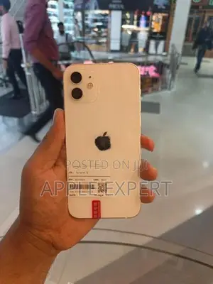 Apple iPhone 12 (Used)