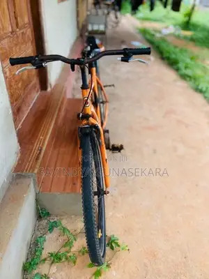 Mountain Bicycle