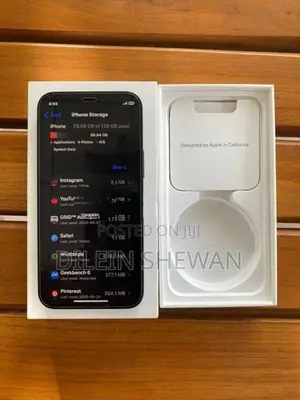 Apple iPhone 12 mini (Used)