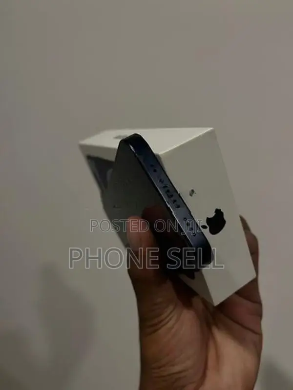 Apple iPhone 12 mini (Used)