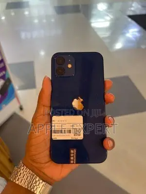 Apple iPhone 12 (Used)