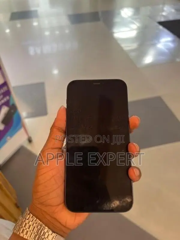Apple iPhone 12 (Used)