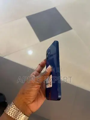 Apple iPhone 12 (Used)