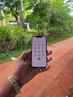 Apple iPhone 13 Pro 256GB (Used)