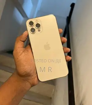 Apple iPhone 12 Pro Max 256GB (Used)