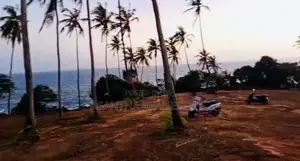 (AF328) 100 P Beach Facing Land Sale At Hiriketiya Dickwella