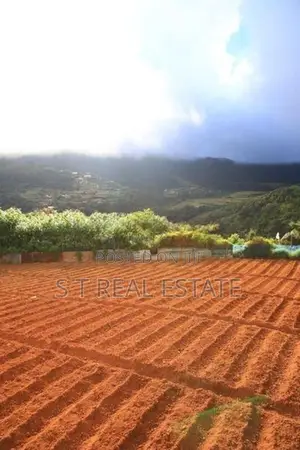 20P Bare Land For Sale In Nuwara Eliya
