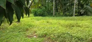 Land for Sale in Gampaha
