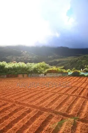 Land for Sale Nuwara Eliya. (ID : NWRL001)