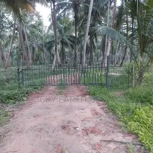 Sale Kurunegala, Fruit Bearing Coconut Estate (MGS2036)