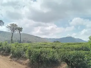 Valuable land for sale NBRO ok Nuwaraeliya