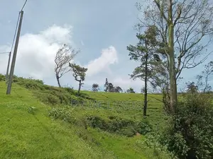 Land for sale NBRO ok Nuwaraeliya