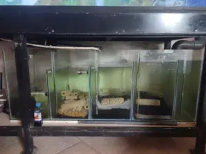7 Feet Fully Glass Fish Tank