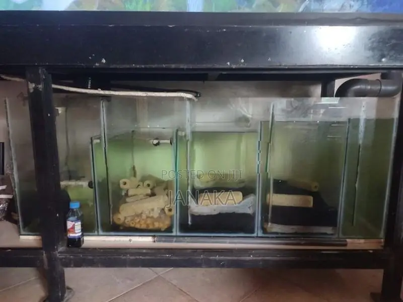 7 Feet Fully Glass Fish Tank