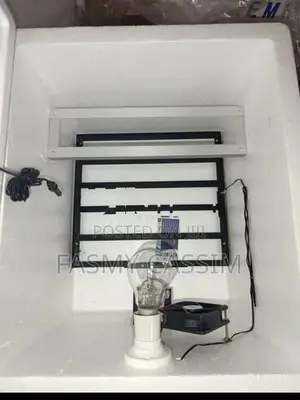 30 Eggs Automatic Stranded Incubator