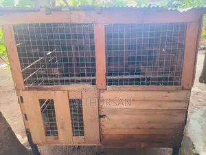 Pigeon Cage